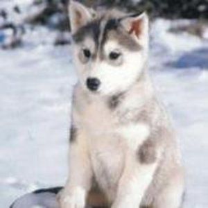 Meet your Posher, Kerrie